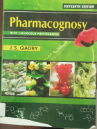 صورة الغلاف المحلية