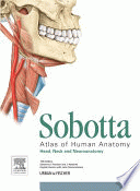 صورة الغلاف المحلية