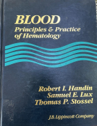 صورة الغلاف المحلية